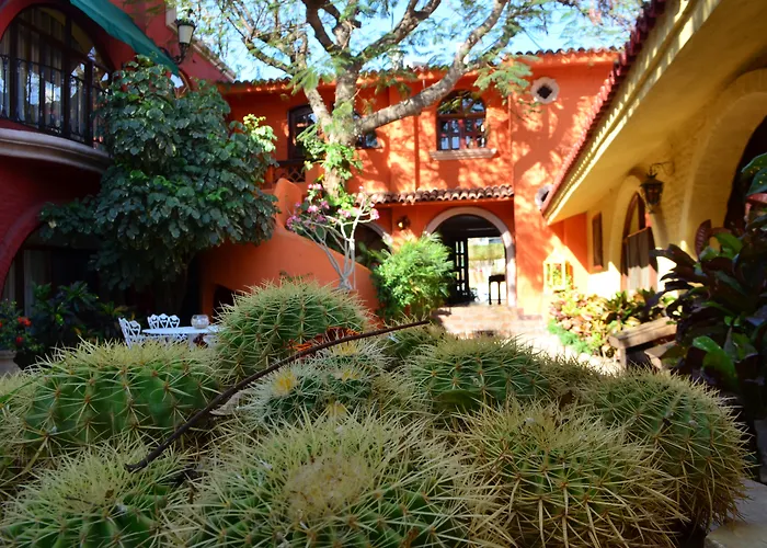 Collection O Casa Bella Boutique, 5* Cabo San Lucas