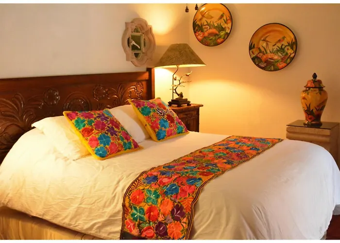 Collection O Casa Bella Boutique, Hotel Cabo San Lucas