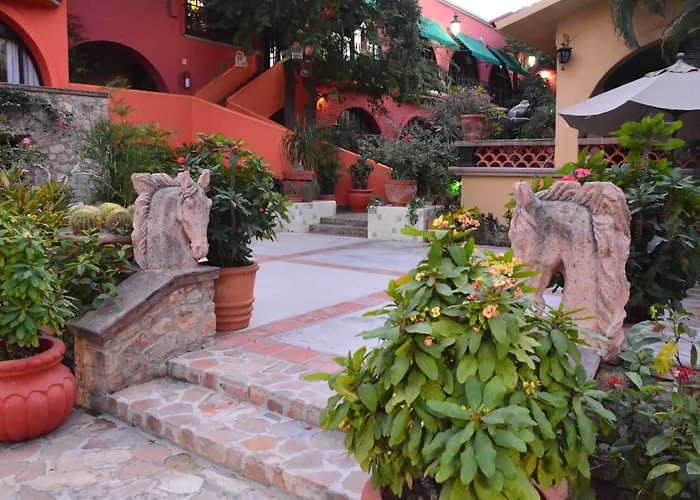 Collection O Casa Bella Boutique, Hotel Cabo San Lucas