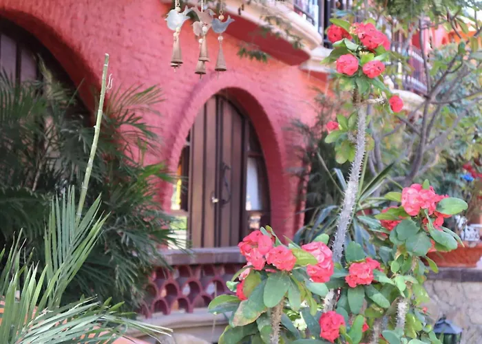 Collection O Casa Bella Boutique, Hotel Cabo San Lucas