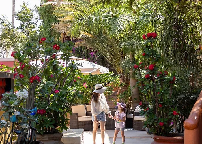 Hotel Collection O Casa Bella Boutique,
